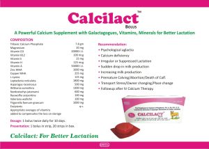 6b7e08ba-e239-4c0b-8b54-c587e1185ff8