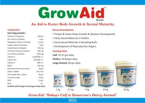 dfff7c69-d00f-4770-a44e-1a701a51cf1c