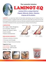 Horse Product Brouchure-1 (1)_page-0002